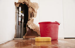Ten Tips to Stop Mold Damage after a Flood