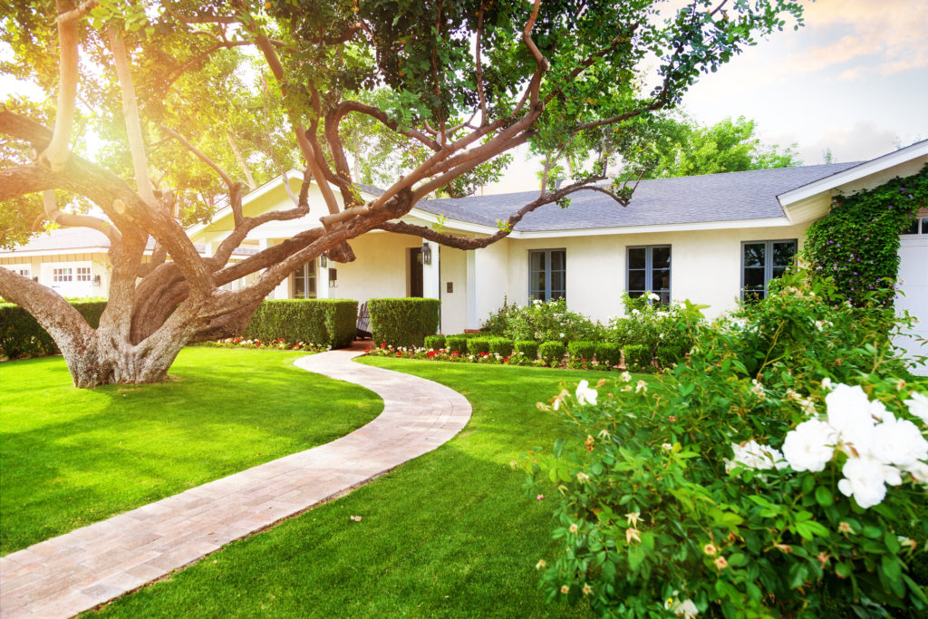 The Return Of The Ranch Style Home Single Story Homes Are In Demand The Return Of The Ranch Style Home Single Story Homes Are In Demand