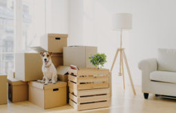Moving During COVID-19 Follow These Seven Tips for Success