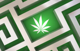 Cannabis Zoning Compliance Considerations