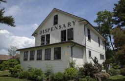 Why Do Cannabis-Related Properties Require Speical Attention